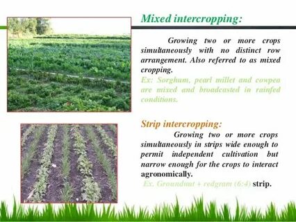 Crop перевод