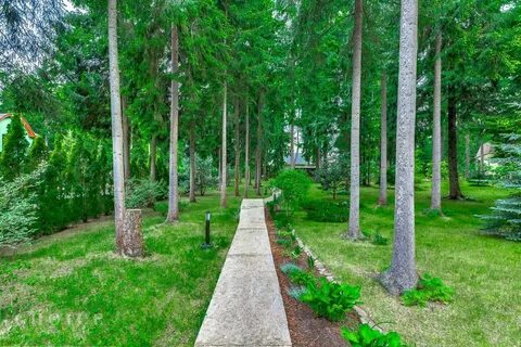 Шервуд новосибирск