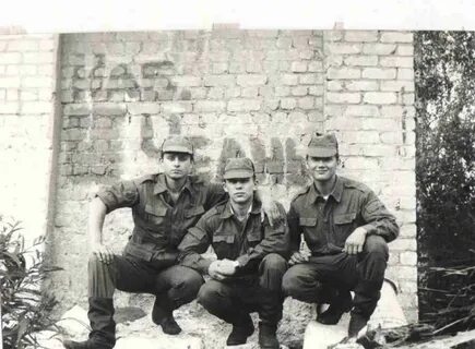 1993 1995 гг