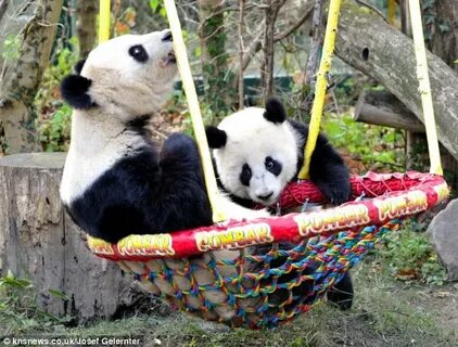 Pandas объединить