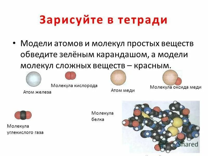 Атомы химических элементов примеры