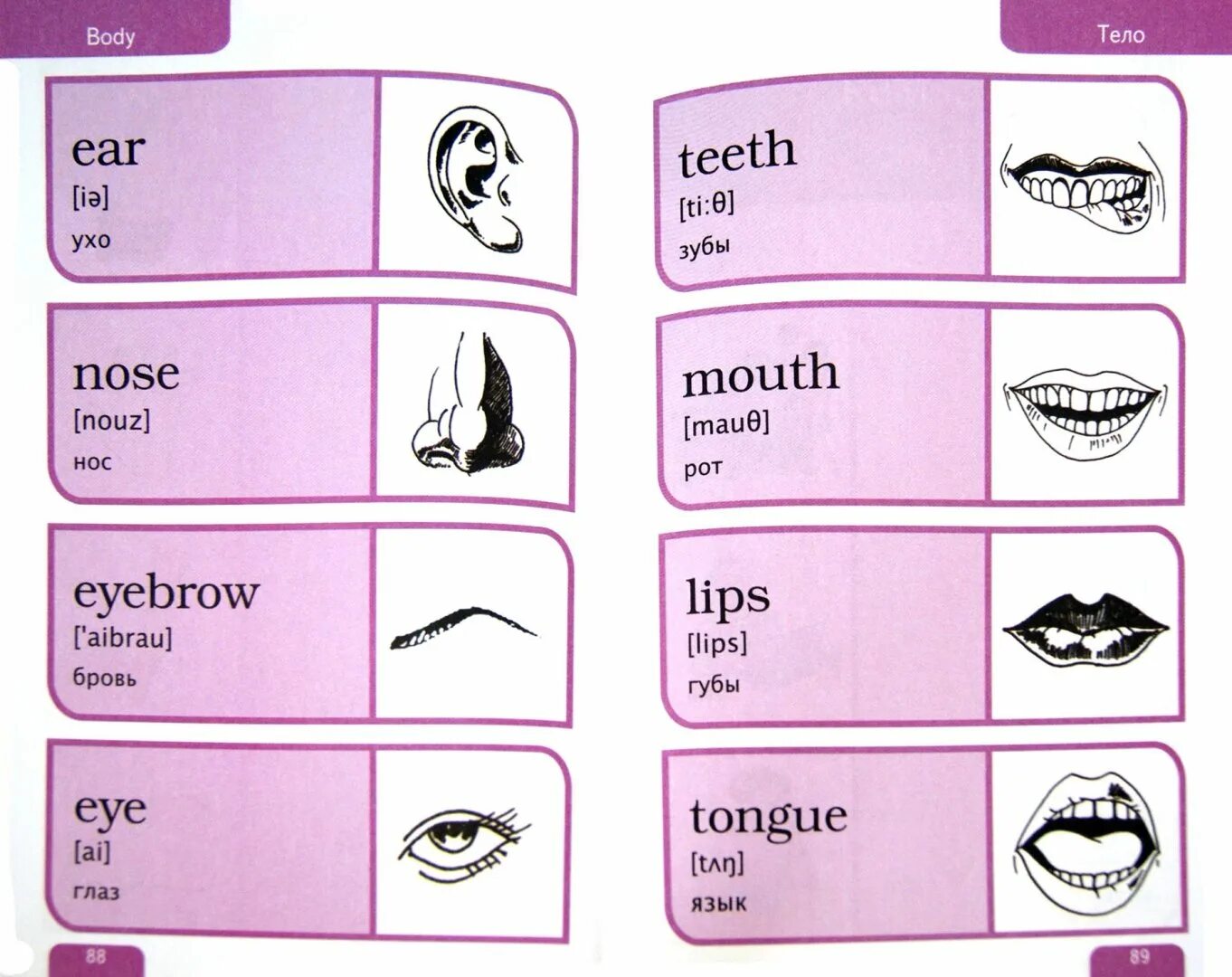 Глаза по английскому. Рот по английскому. КВК будет по английски. Части лица по английскому. Глаза на английском языке перевод