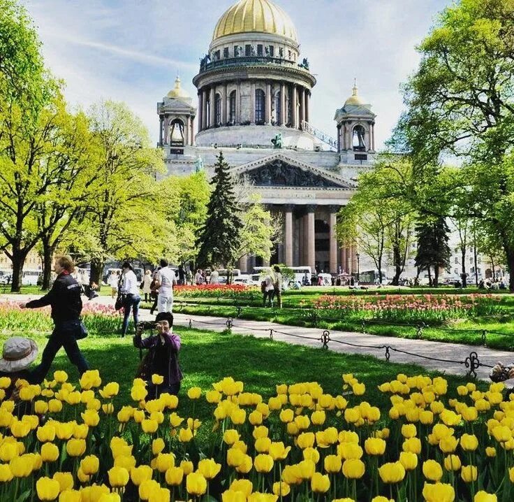 Фото санкт петербурга летом