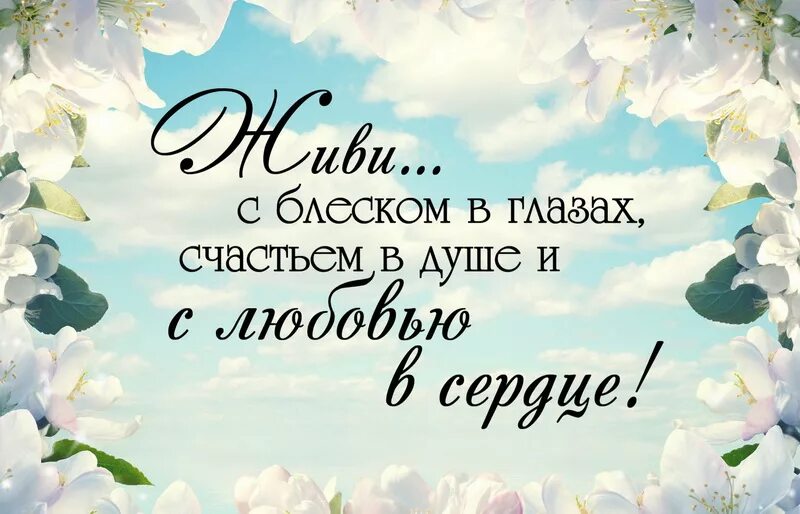 Цитаты поздравления. Красивые цитаты на день рождения. короткие фразы поздравления. цитаты поздравления с днем рождения. цитаты про день рождения.