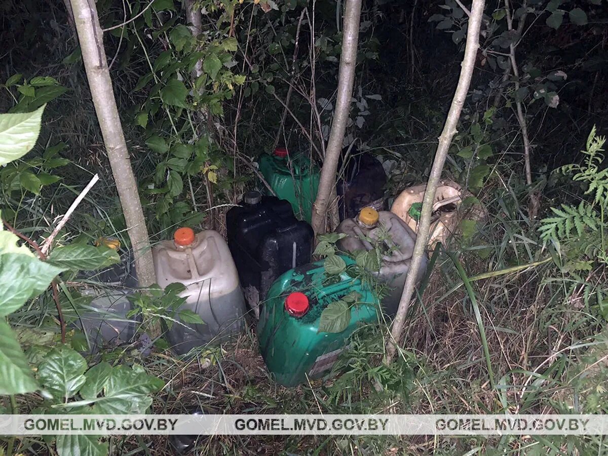 Стояла в кустах