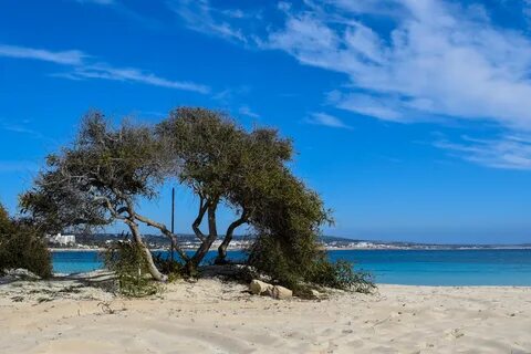 Isola blu
