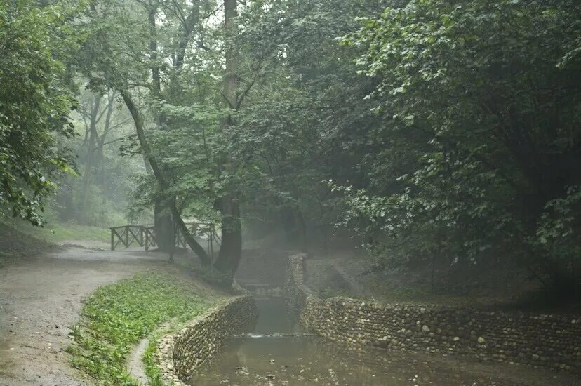 Густой туман. Туман в овраге. Коломенское голосов овраг. Овраг в тумане. Голосов овраг туман.