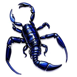 Велосипедтегі сексуалды қыз бейне