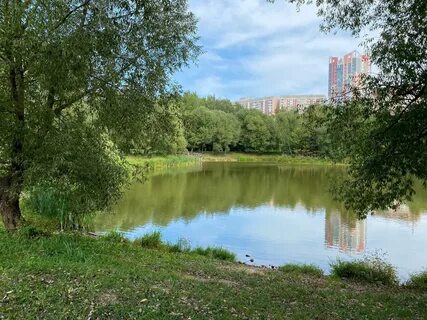 Бутовский парк фото