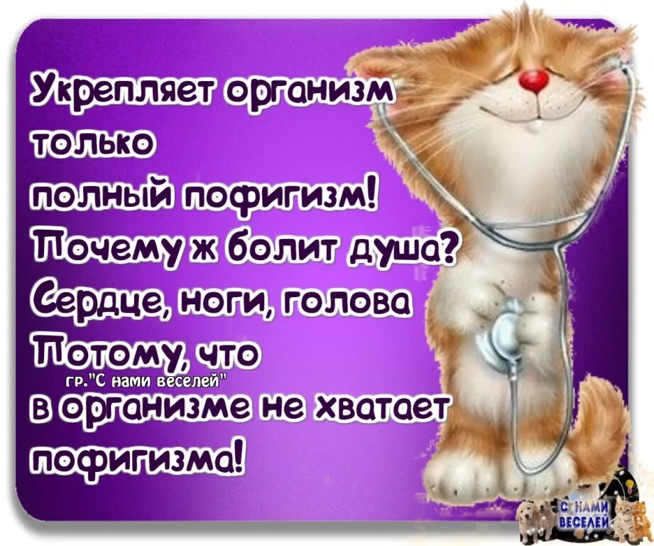 Полный пофигизм. Полный пофигизм. Бойцовский клуб печень джека. Позитивный рыжий кот. Пофигизм картинки.