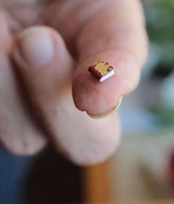 Самая маленькая книга. Самая маленькая книга в мире. Самая маленькая книжка в мире. Самые маленькие миниатюры.