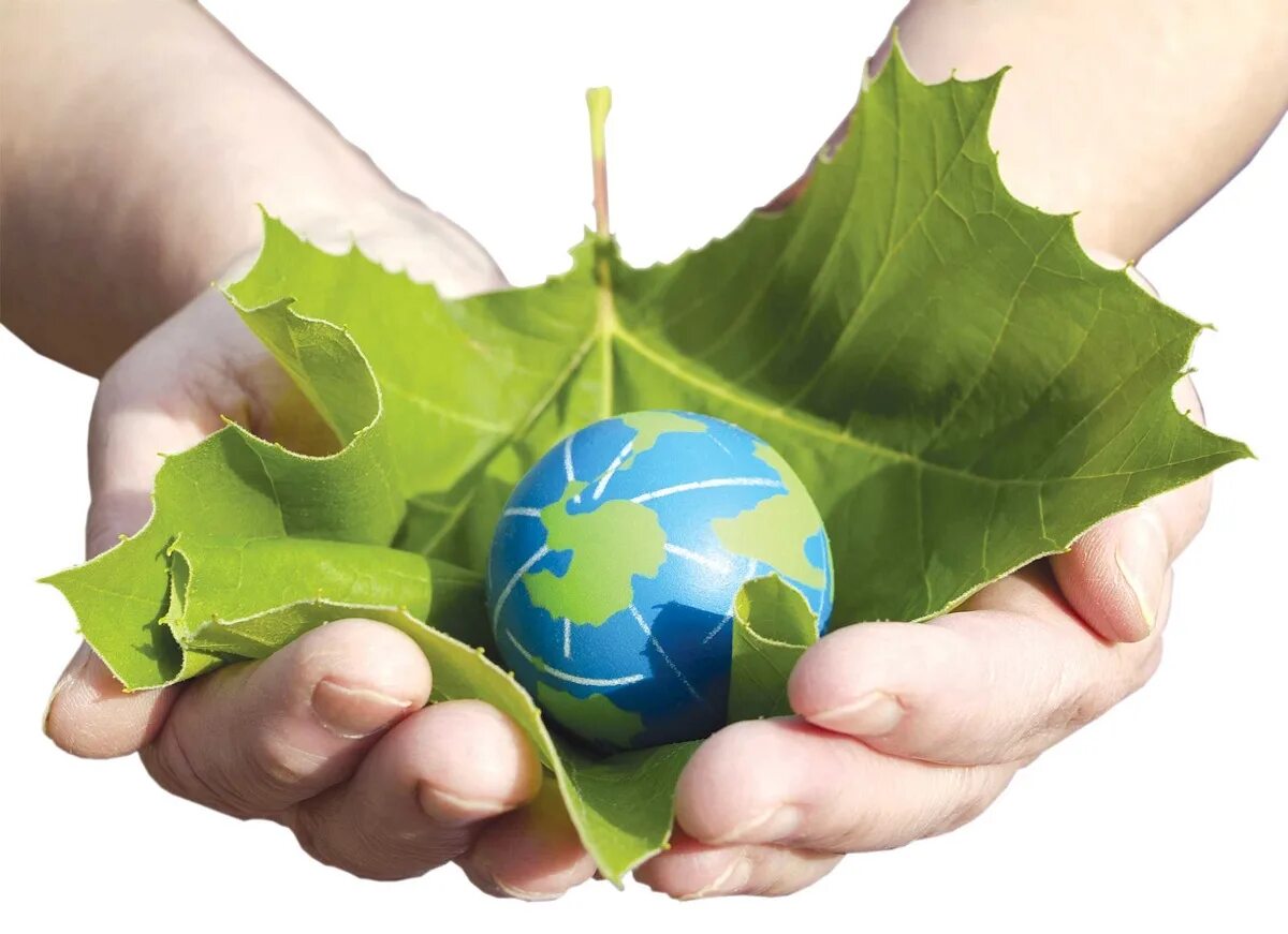 Concern environment. Environmental concerns. environmental concerns earth is the only.