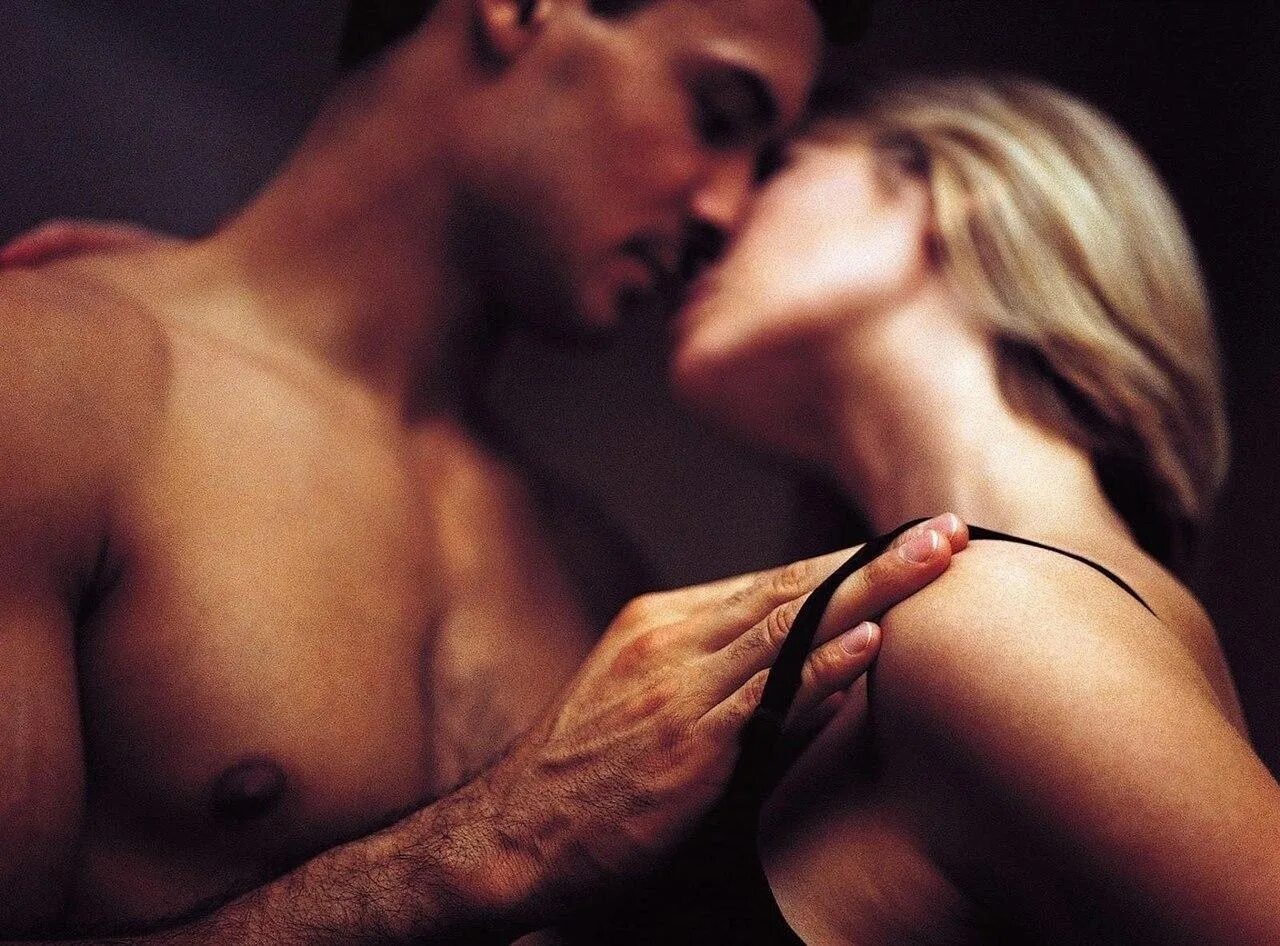 Влюбленные животные. Кошачья любовь. День ласки. День ласки. Люблю своего котика.