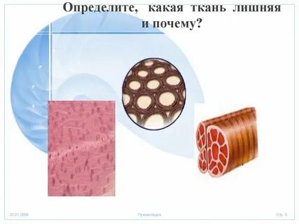 Какая ткань плохая
