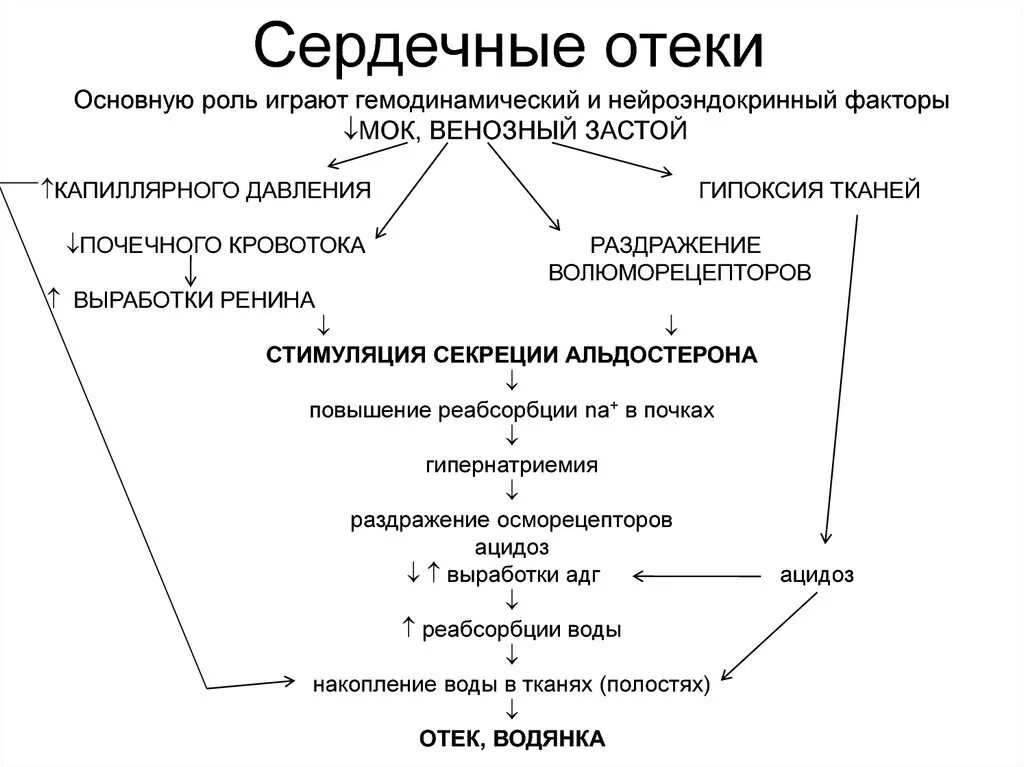 Роль играют такие факторы. Характеристика отеков при ХСН. Механизм возникновения отеков при сердечной недостаточности. Механизм отеков при сердечной недостаточности. Механизм развития сердечных отеков.