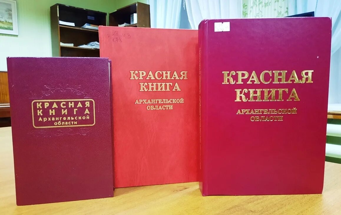 Красная книга. Красный. Красная книга Архангельской области. Региональная красная книга.