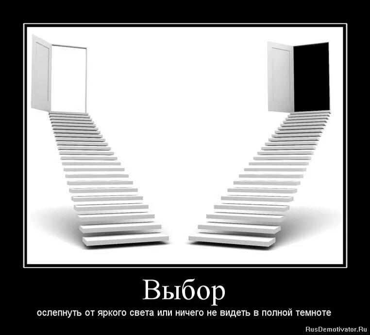 Выборы есть всегда. У каждого есть выбор. Выбор демотиватор. У нас всегда есть выбор. Демотиватор правильный выбор.