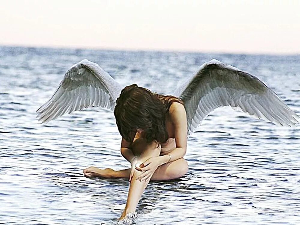 Песня где мои крылья. Девушка лебедь. Стих про Крылья у женщины. Стихи про Крылья души. Красивые высказывания про Крылья.