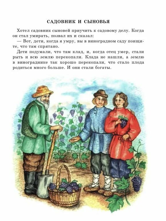 Л н отец и сыновья. Толстой басня садовник и сыновья. ушинский садовник и его сыновья.. басни льва николаевича толстого садовник и сын. иллюстрация к басне отец и сыновья.
