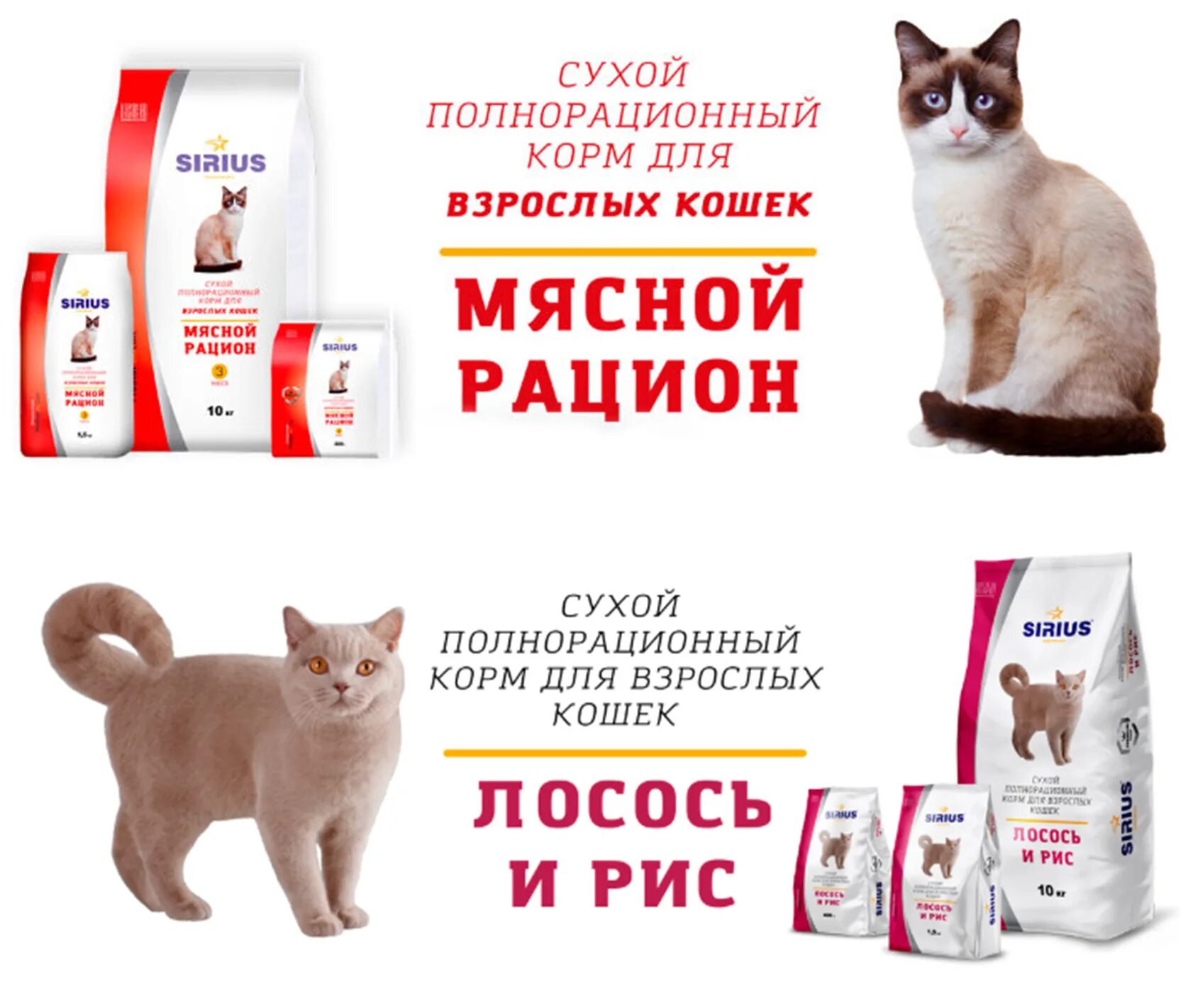 доктор вет сарапул. доктор вет энтузиастов. доктор вет николаева 85. доктор вет петрозаводск. доктор вет ейск.