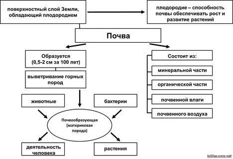 Заполните схему различие почв