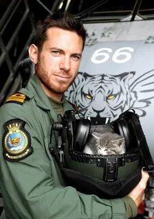 Pilot animal