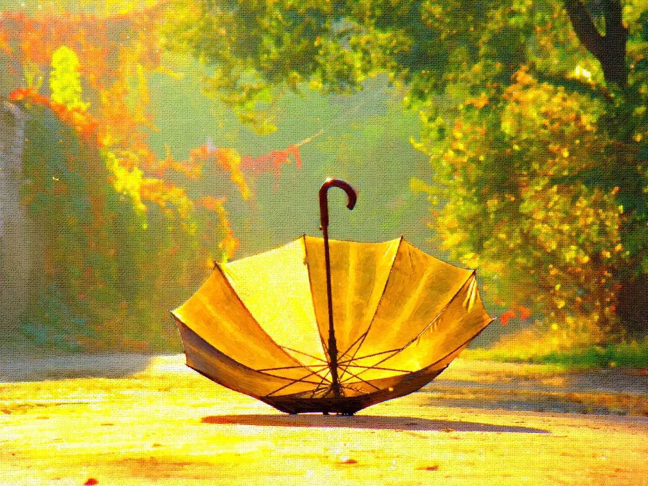 Зонтик. Осень зонтик. Натюрморт с зонтиком. Осенний зонт. Обои зонтика