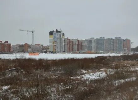 Новое кальное