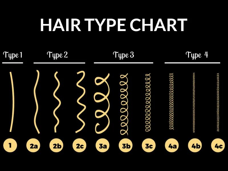 Типы волос. Тип волос 3а. Тип 1c волосы. Тип волос 1b. Curl types h