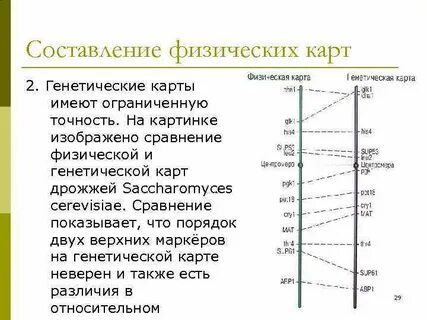 Как строить генетическую карту