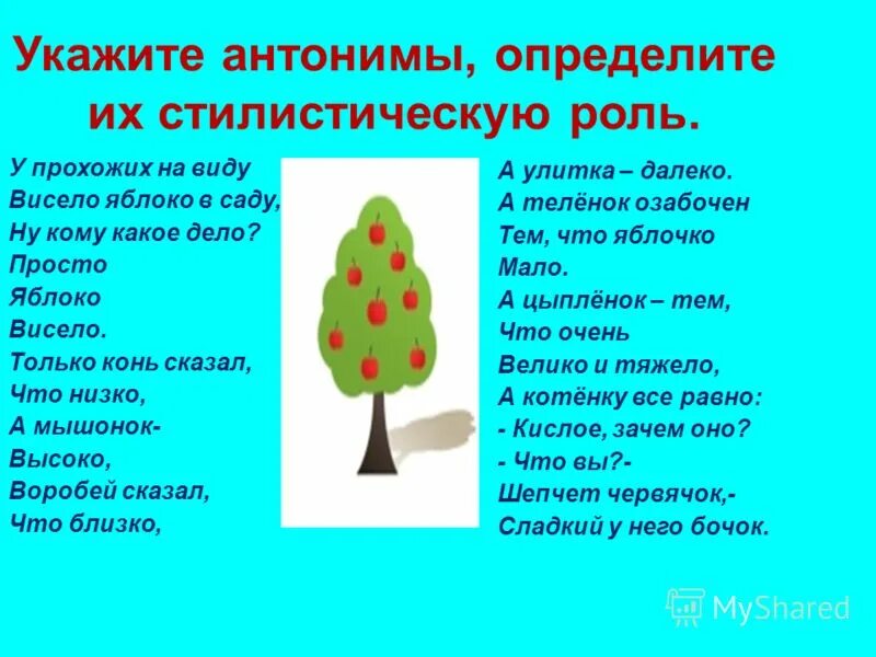 У прохожих на виду висело яблоко в саду антонимы. Стих у прохожих на виду висело яблоко в саду. Яблоко антоним. Укажите антонимы.