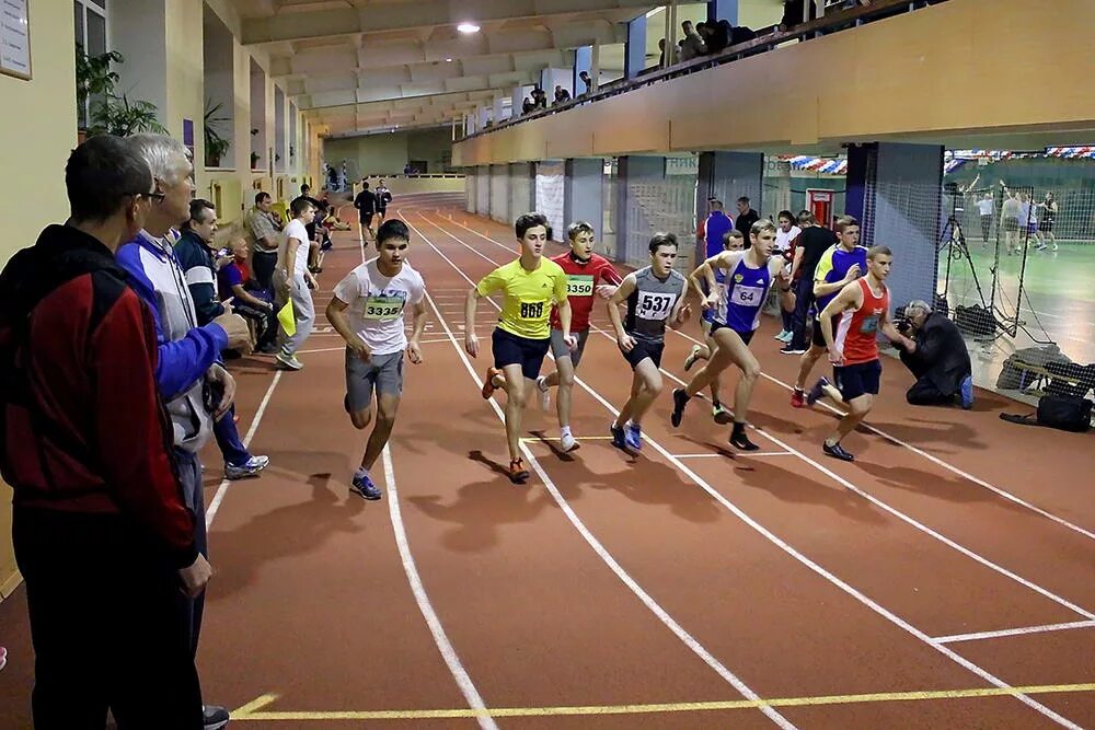 спорттовары сальск. спорт сайт новосибирска. спорткомплекс на петухова александрит. манеж нгту новосибирск. день зимних видов спорта в россии.