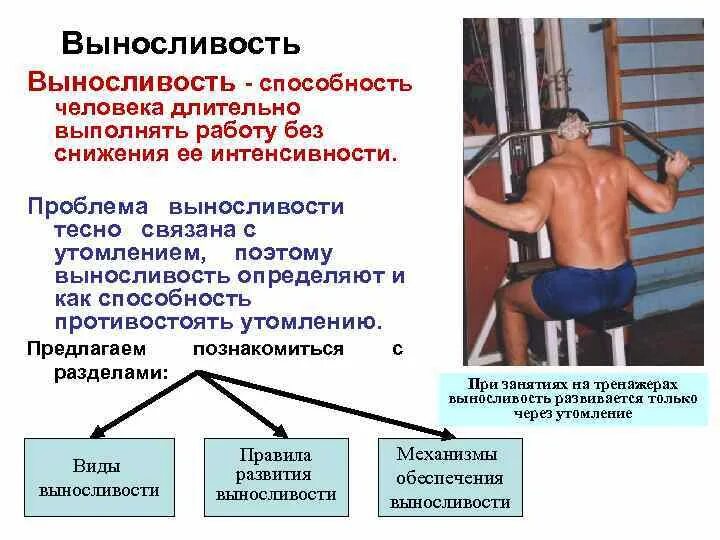 Способность противостоять мышечному утомлению. Способность противостоять мышечному утомлению