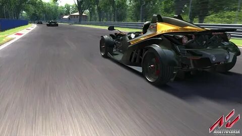 Unfortunately assetto corsa crashed