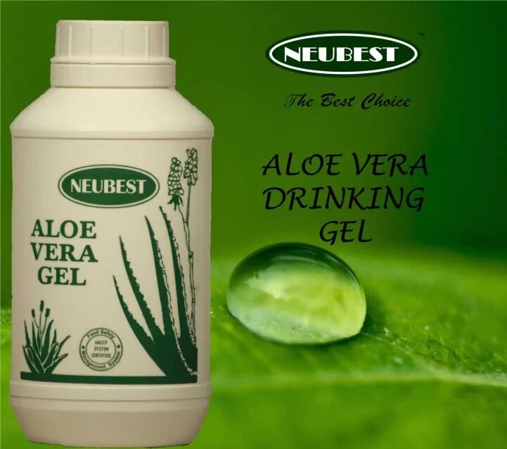 Aloe перевод