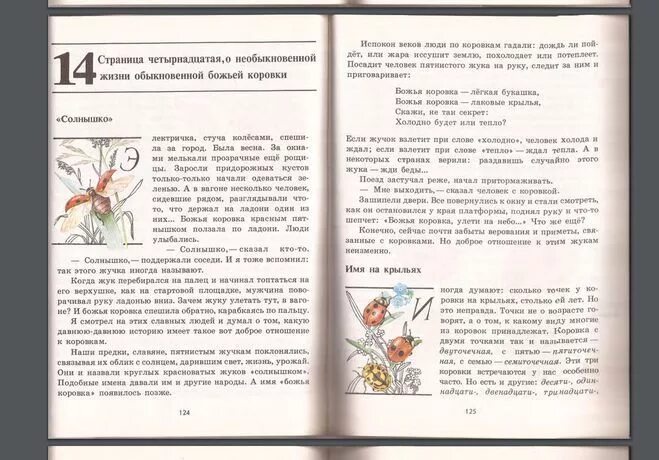 зелёные страницы 3 класс окружающий мир плешаков божья коровка. книга зелёные страницы 3 класс рассказ о божьих коровках. страницы рассказ о божьих коровках. зелёные страницы 3 божья коровка. зеленая книга божья коровка.