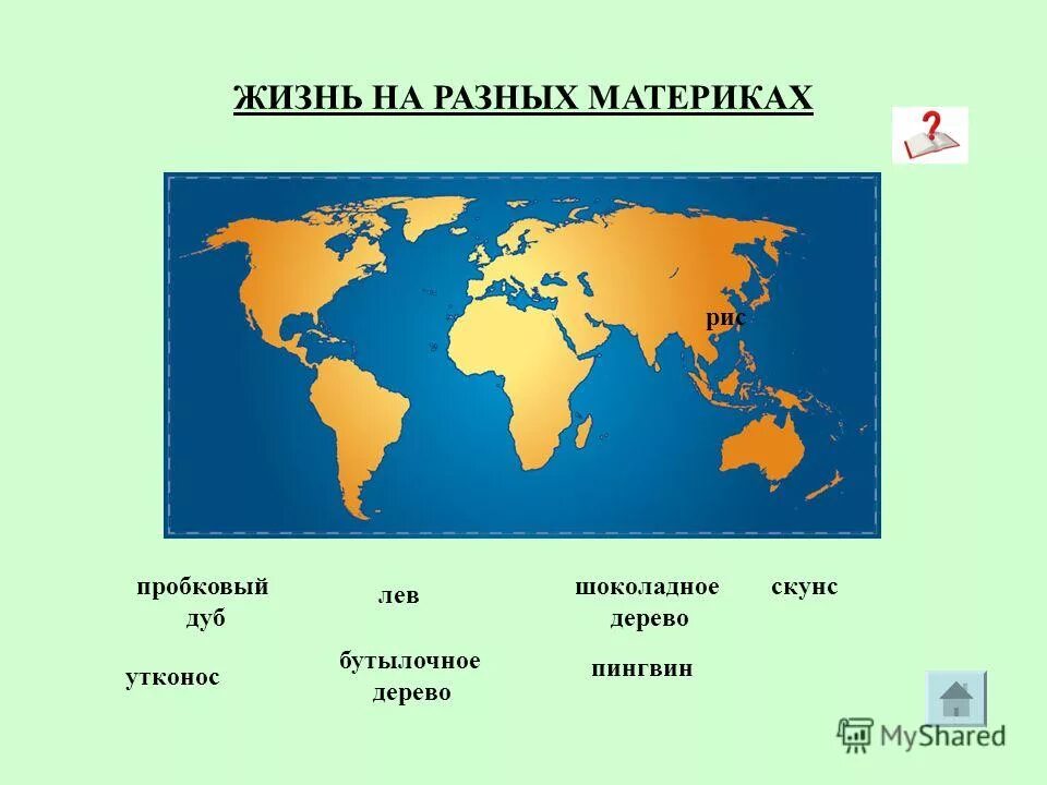 6 материков названия 2 класс. Жизнь на разных материках. Разные материки. Материки земли. Континенты земли.