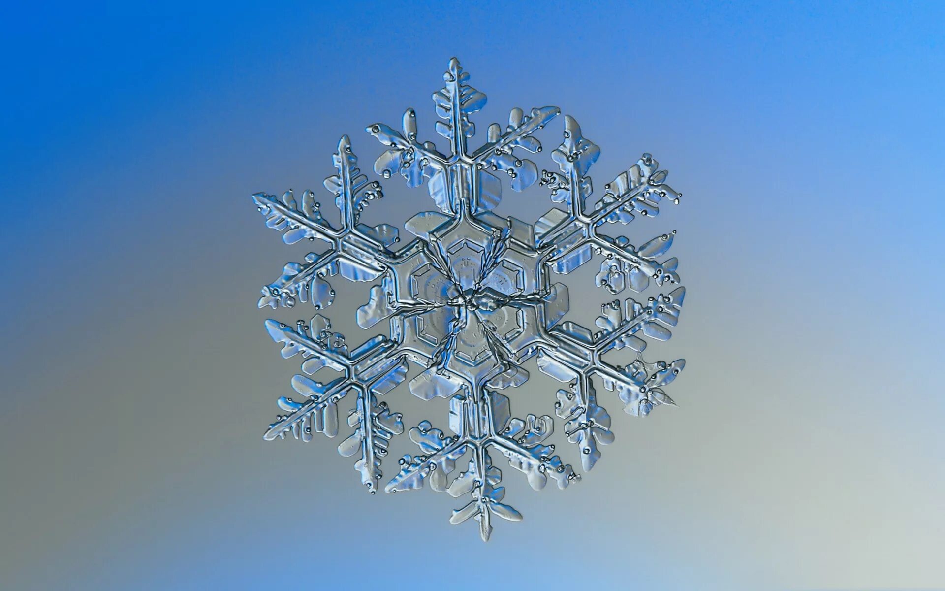 Snowflake 1
