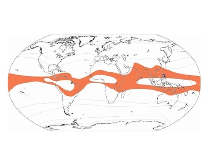 Субэкваториальный полушарие. Экваториальный и субэкваториальный пояс на карте. Экваториальный пояс субэкваториальный пояс.