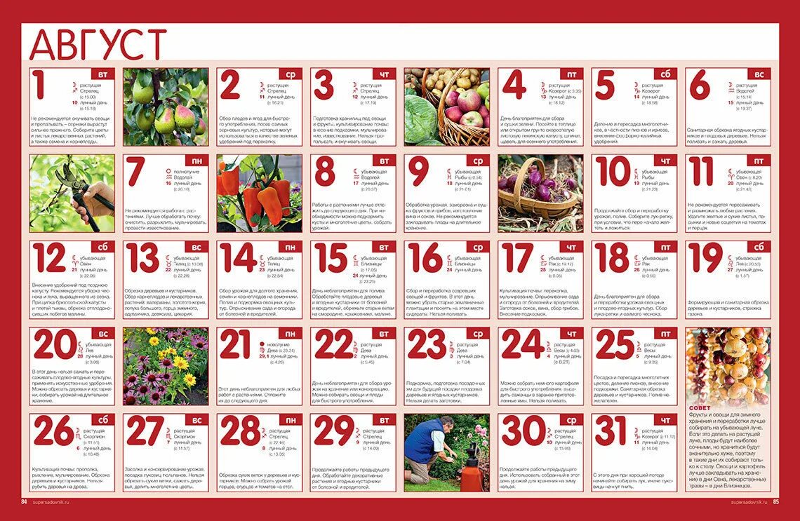 Государственные праздники в августе. Праздники в августе. Праздники в августе. В какие августе 2017. Профессиональные праздники в августе.