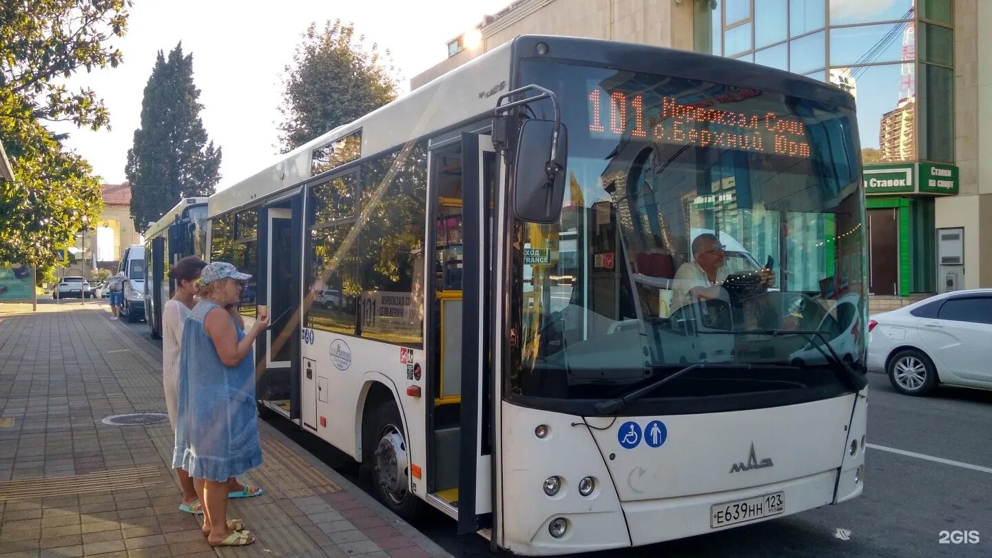 Автобусы Сочи. Общественный транспорт Сочи. Городской транспорт Сочи. Городские автобусы в Сочи.