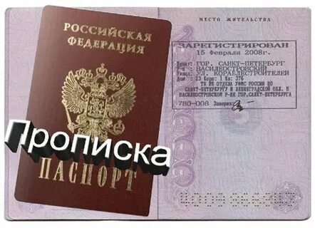 В какой статье это прописано