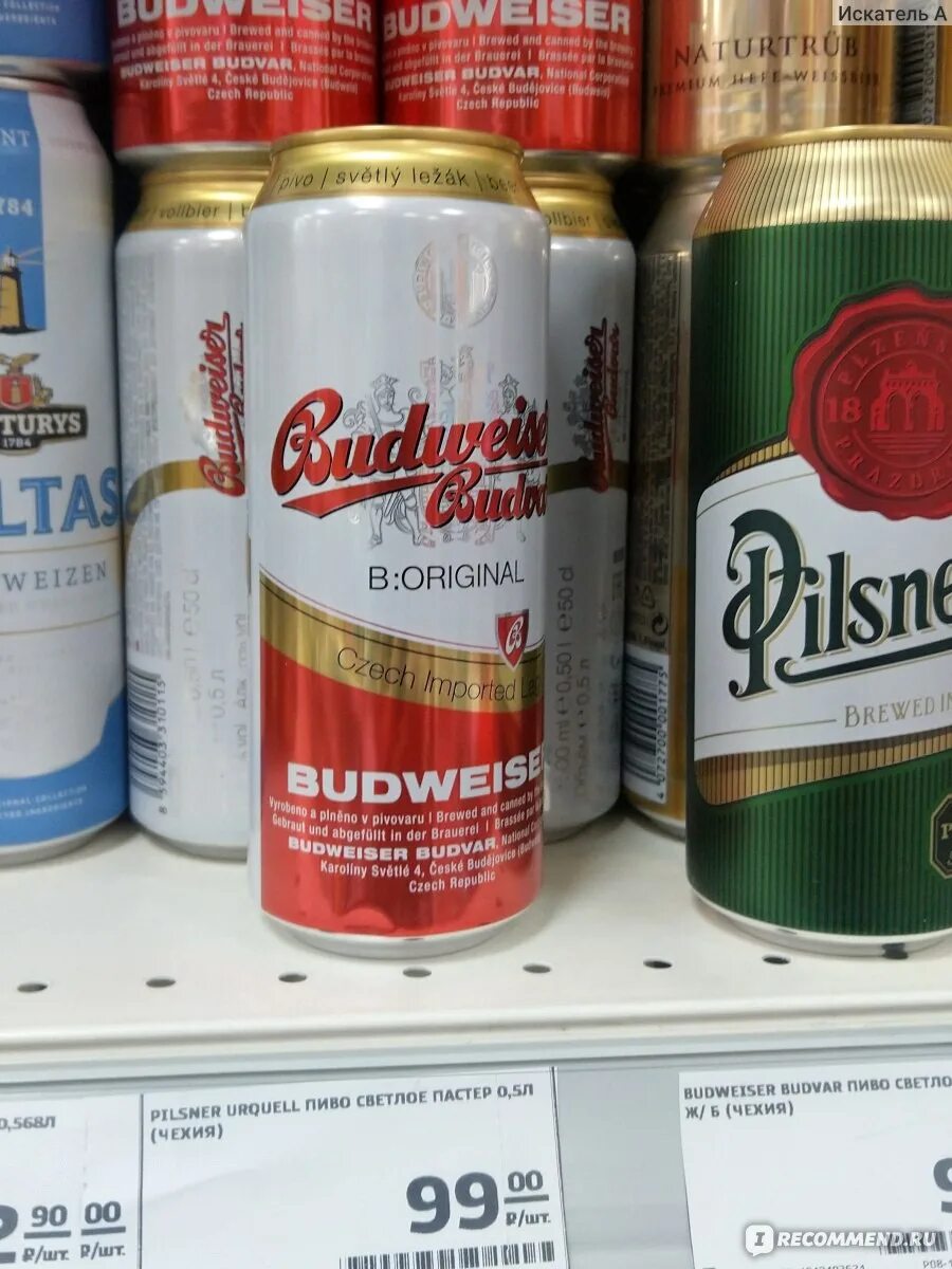 Купить пиво в кб. Пиво баночное чешское светлое. Чешский пивной бренд Budweiser. Пиво чешское импортное красное и белое. Чешское пиво марки в Пятерочке.