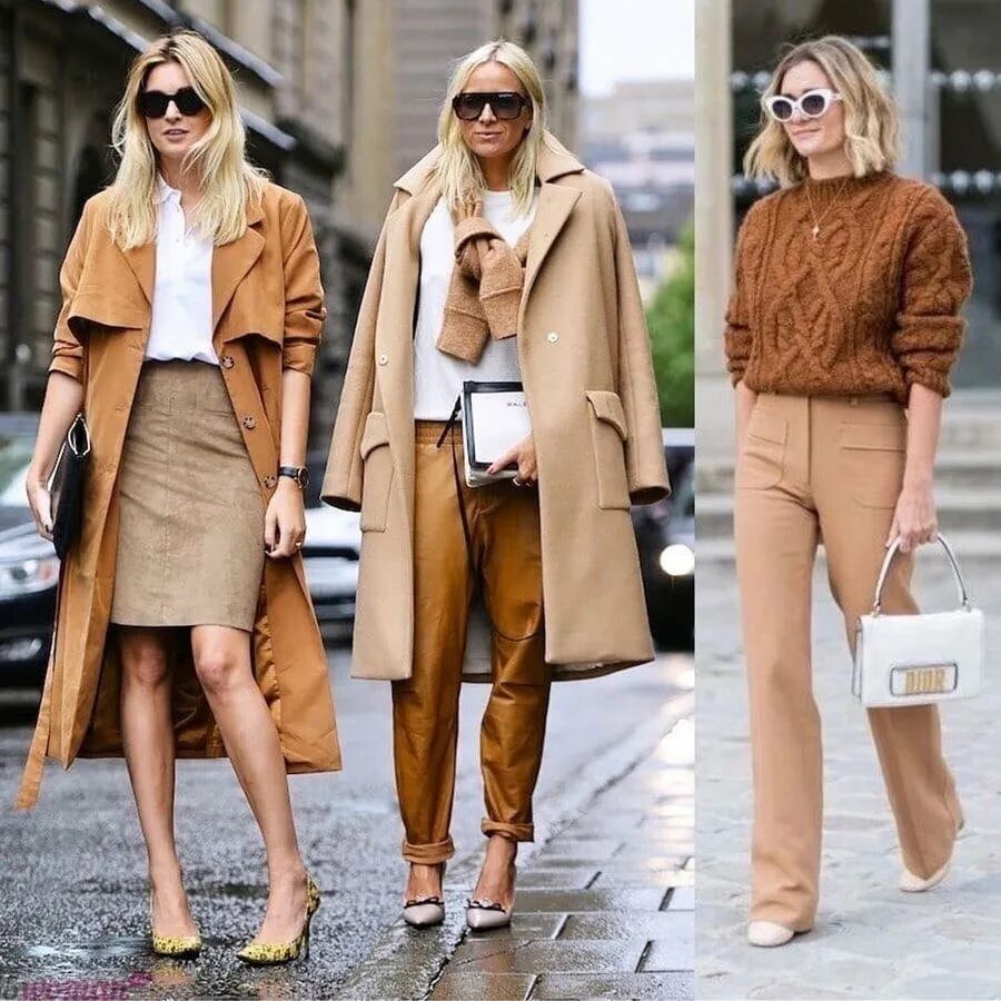 Цвет кэмел сочетание. Капсула в цвете кэмел. Сочетание песочного цвета в одежде. Верблюжий цвет в одежде сочетание. Сочетание цвета кэмел в одежде.