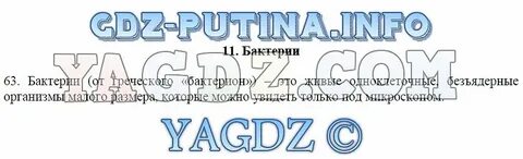 Практикум 6