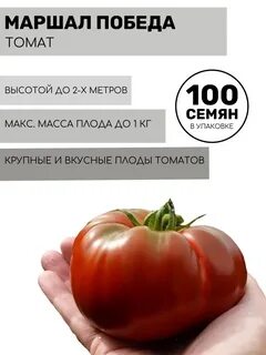 Томат победа