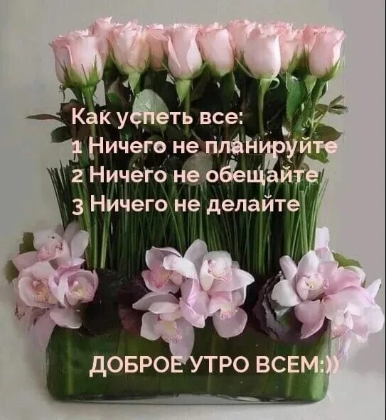 Будьте здоровы и богом хранимы доброе утро. Пожелания доброго утра и крепкого здоровья. доброе утро с пожеланиями здоровья. пожелания счастья и добра с утра. пожелания добра и здоровья с утра.