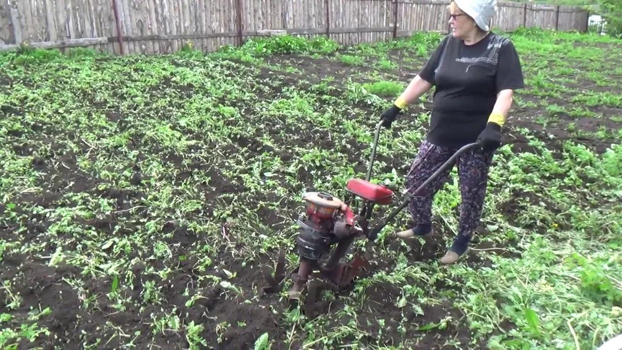 Можно ли сажать горчицу. Запашка сидератов в почву. Мульча сидераты. Дискование сидератов. Вспаханный огород.