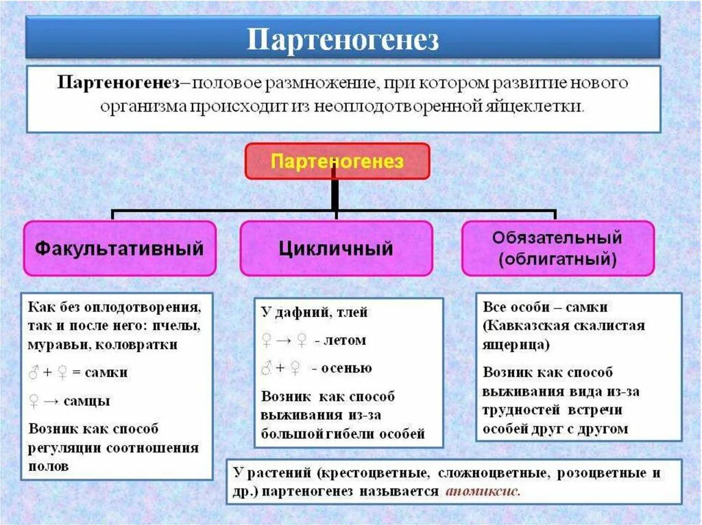 Партеногенез. Виды партеногенеза. Факультативный партеногенез. Партеногенез процесс.