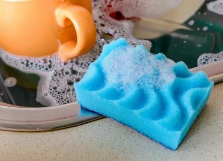 Berenice sponge